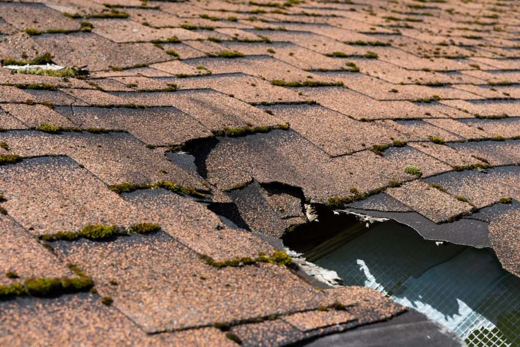 Damaged shingle roof showing cracked and missing shingles with moss growth, illustrating potential hail damage and the need for professional inspection.