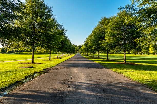 Tree-lined pathway leading to a green park in Cumming, GA, illustrating the community's scenic outdoor spaces and family-friendly environment.
