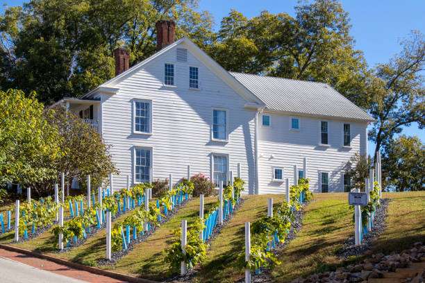 White historic house with a metal roof surrounded by vibrant green grapevines and blue stakes, representing Dahlonega's growing wine industry and scenic landscapes.