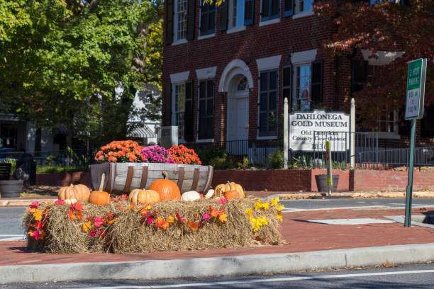 Dahlonega Gold Museum sign with decorative pumpkins and flowers in front of historic brick building, showcasing the town's charm and seasonal aesthetics in North Georgia.