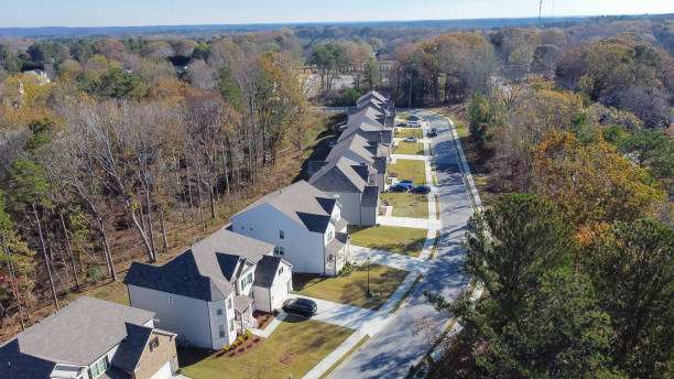 Aerial view of suburban homes in Flowery Branch, GA, showcasing modern architecture and well-maintained lawns along a quiet street surrounded by trees.