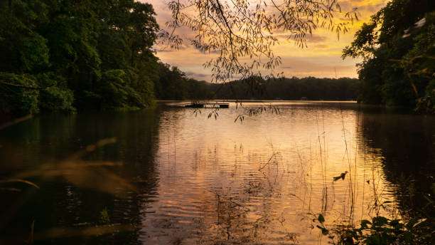Scenic view of Lake Hartwell at sunset, surrounded by lush greenery, reflecting the warm colors of the sky, highlighting the natural beauty appreciated by homeowners in the Hartwell area.