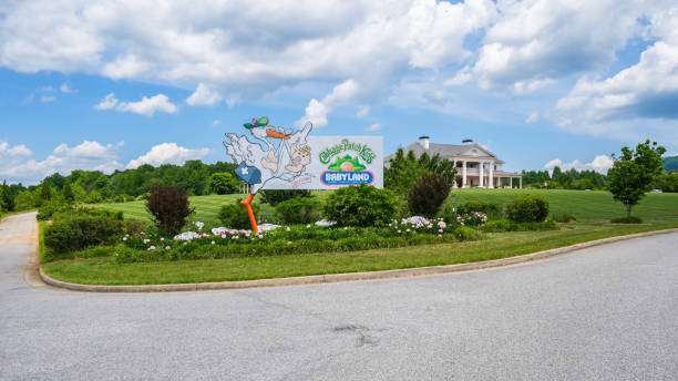 Artisan Roofing Construction sign at entrance to BabyLand General Hospital in Cleveland, GA, surrounded by landscaped gardens and blue sky.