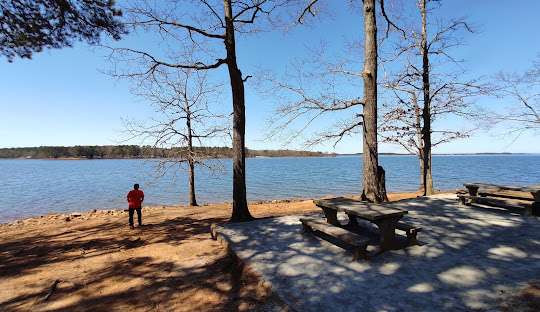 Person standing by a lakefront in Hartwell, GA, with picnic tables and trees, illustrating the scenic environment where Artisan Roofing & Construction provides roofing services for local homeowners.